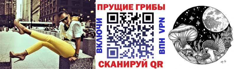 Псилоцибиновые грибы мицелий  цены наркотик  Брюховецкая 